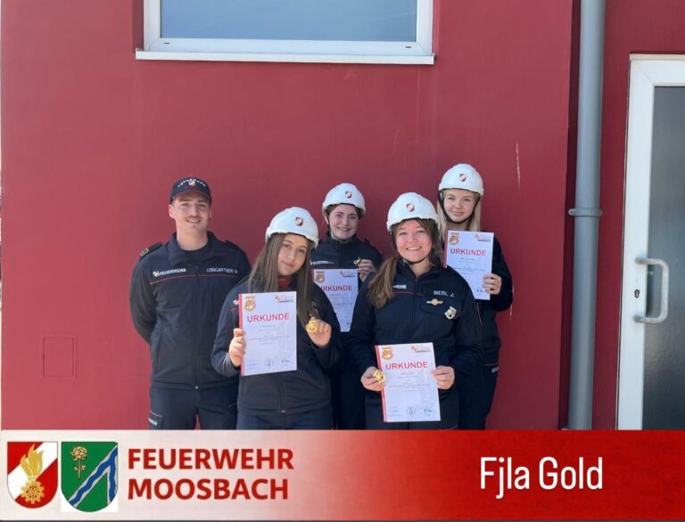 Feuerwehrjugendleistungsabzeichen – 4x vergoldet