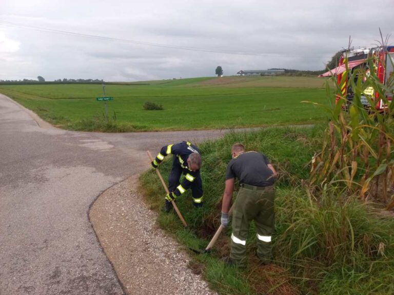 16.09.2021 Kanalspülungen