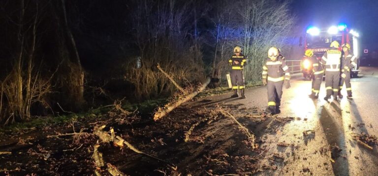 21.12.2023 Einsatz Sturmschaden