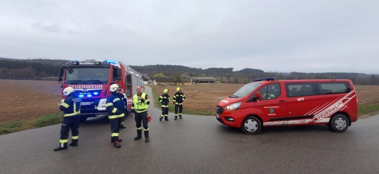 27.03.2025 Einsatz: Rettung Großtier
