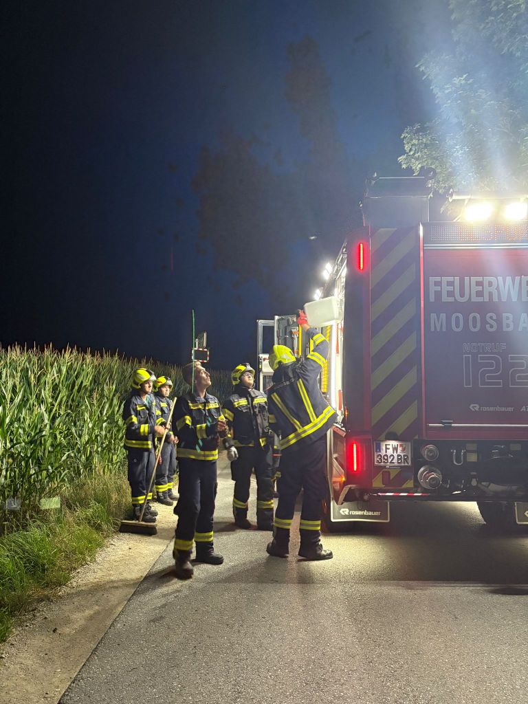 20.07.2025 | Ölspur über 8 Kilometer – nächtlicher Einsatz für die Feuerwehr Mossbach