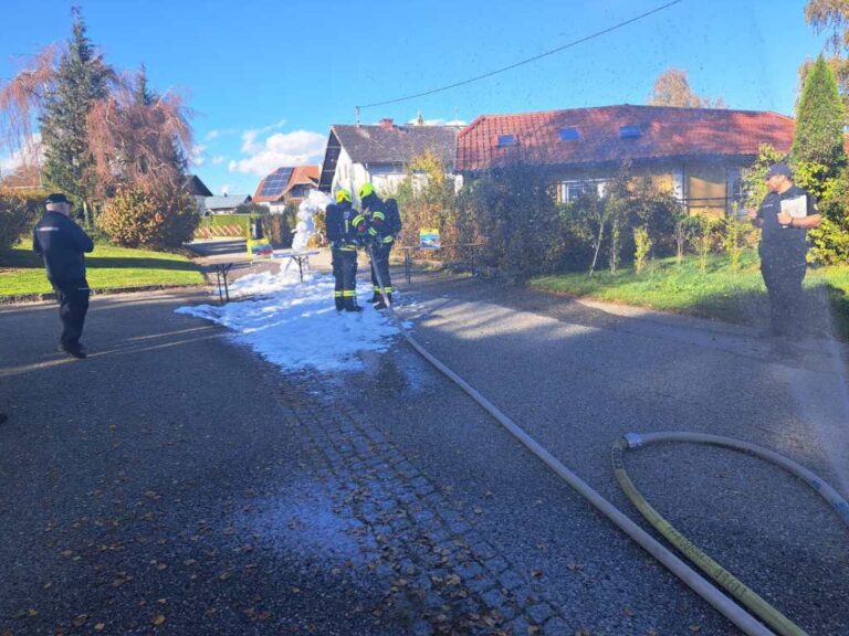 28.10.2023 Leistungsprüfung Branddienst