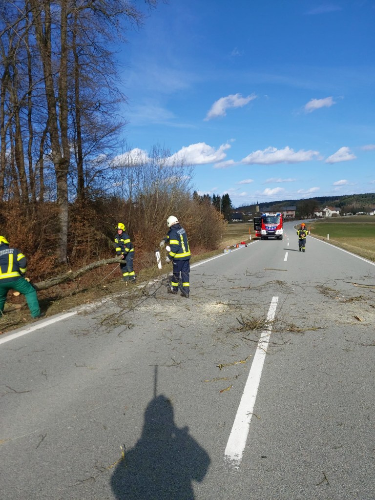 19.02.2022 Sturmeinsatz