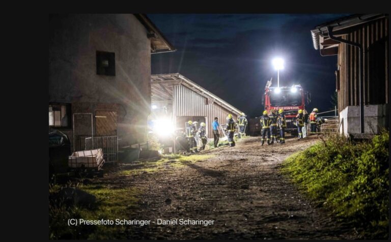 25.09.2024 Einsatz: Rettung Großtier